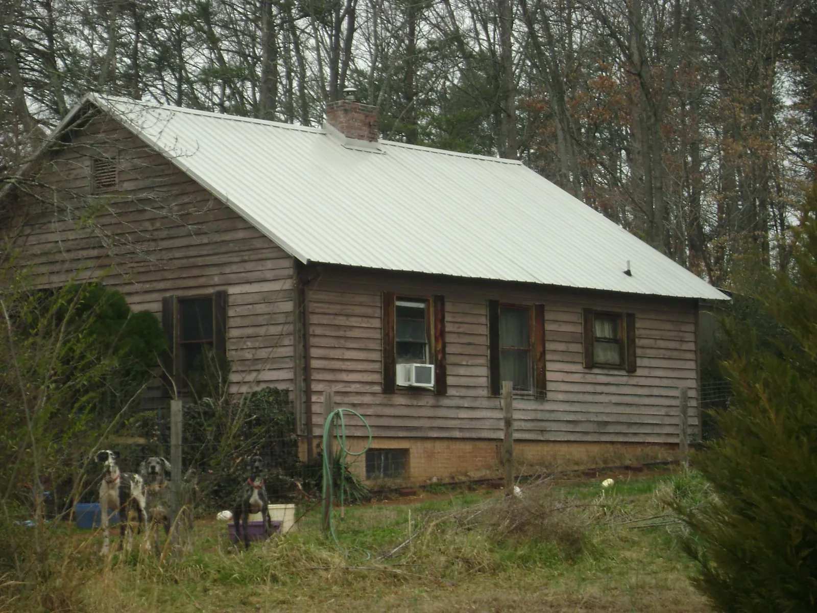 White metal roof on an old wood sided farmhouse, from a Asphalt Shingle Roof Repair job in Pleasant Hill